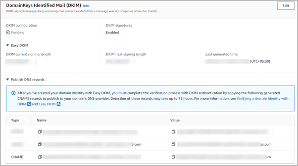 verify dns